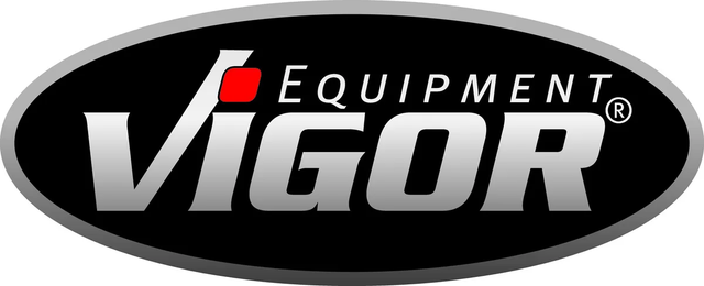 Logo VIGOR